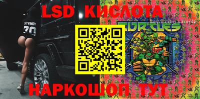 PSILOCYBIN Кандалакша
