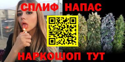 хмурый Канаш