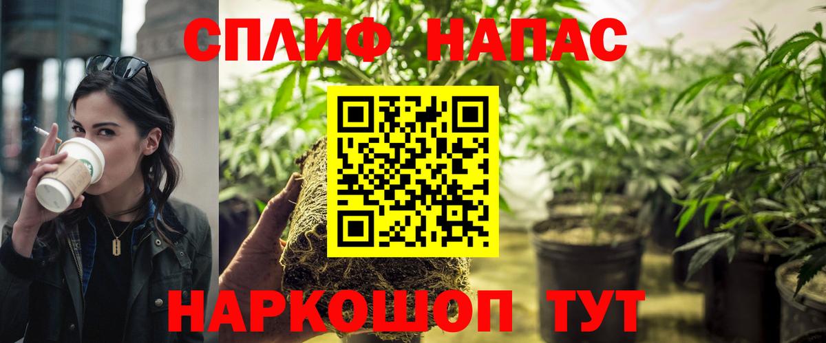 Каннабис индика Кандалакша